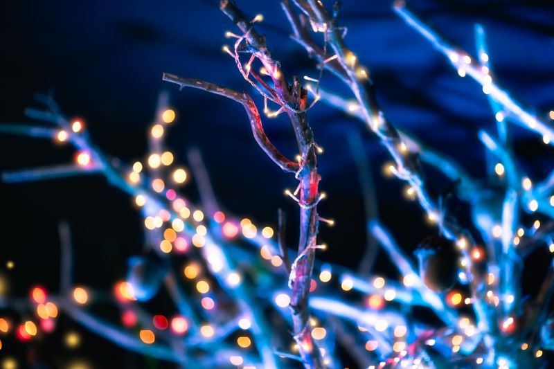 Holiday Lights Hanging in Olathe, KS